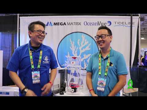 Planet Aquariums at Reef-A-Palooza New York 2021