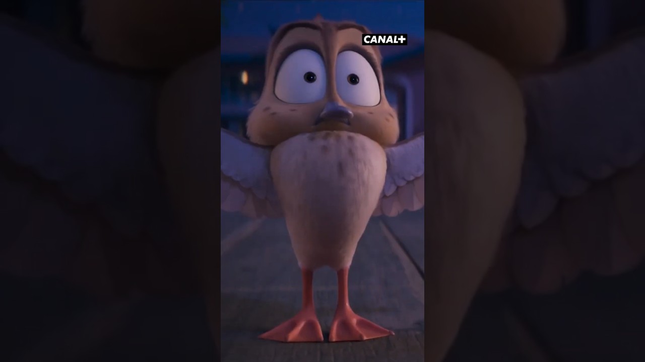 L'amour fraternel 😄