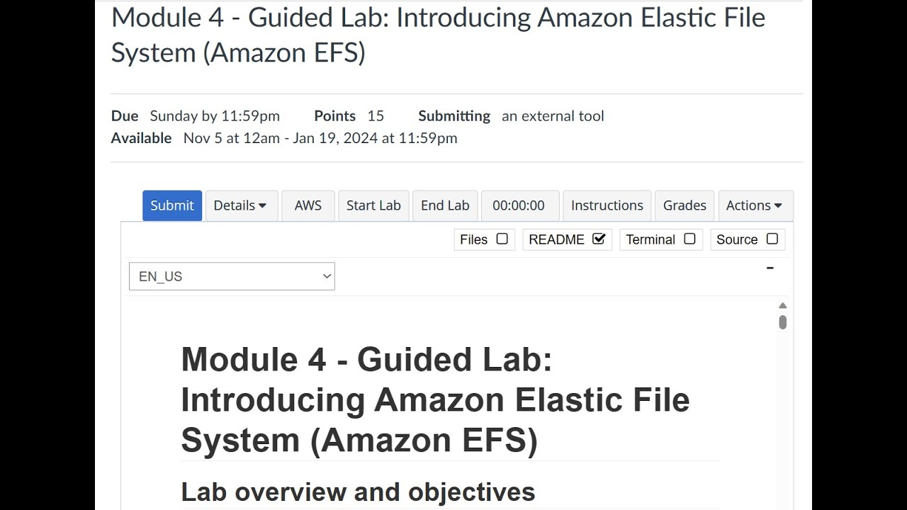 AWS Module 4: Amazon EFS Guided Lab 🖥️
