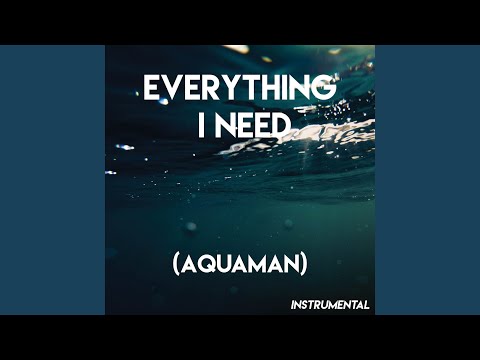 Everything I Need (Film Version) (Instrumental)