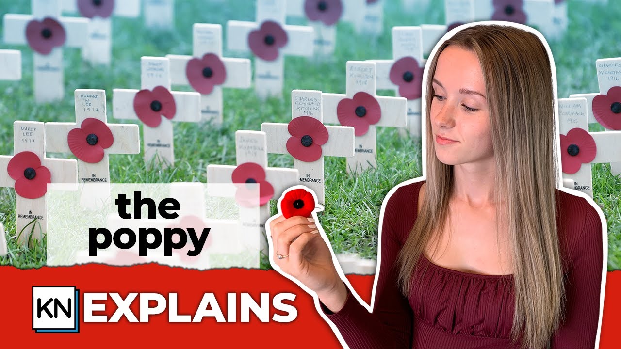 Why Do Canadians Wear Poppies on Remembrance Day? 🇨🇦
