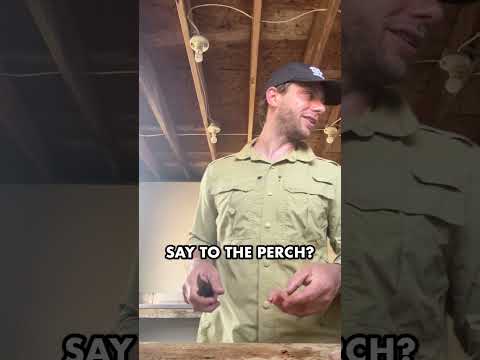 How to do a Wisconsin Fish Fry #shorts