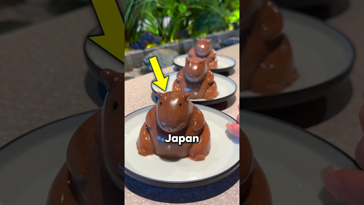 Things that make Japan a better place to live in! 🥹🇯🇵