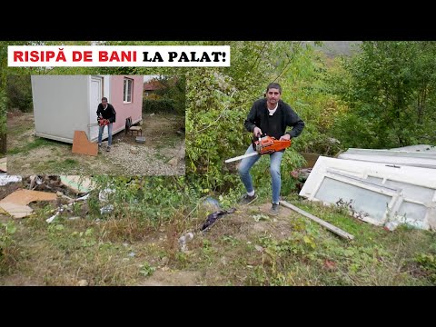 RISIPĂ DE BANI la Palat! | De ce și-a luat Arthur DOUĂ DRUJBE?! | Test Drive și alte COMENZI