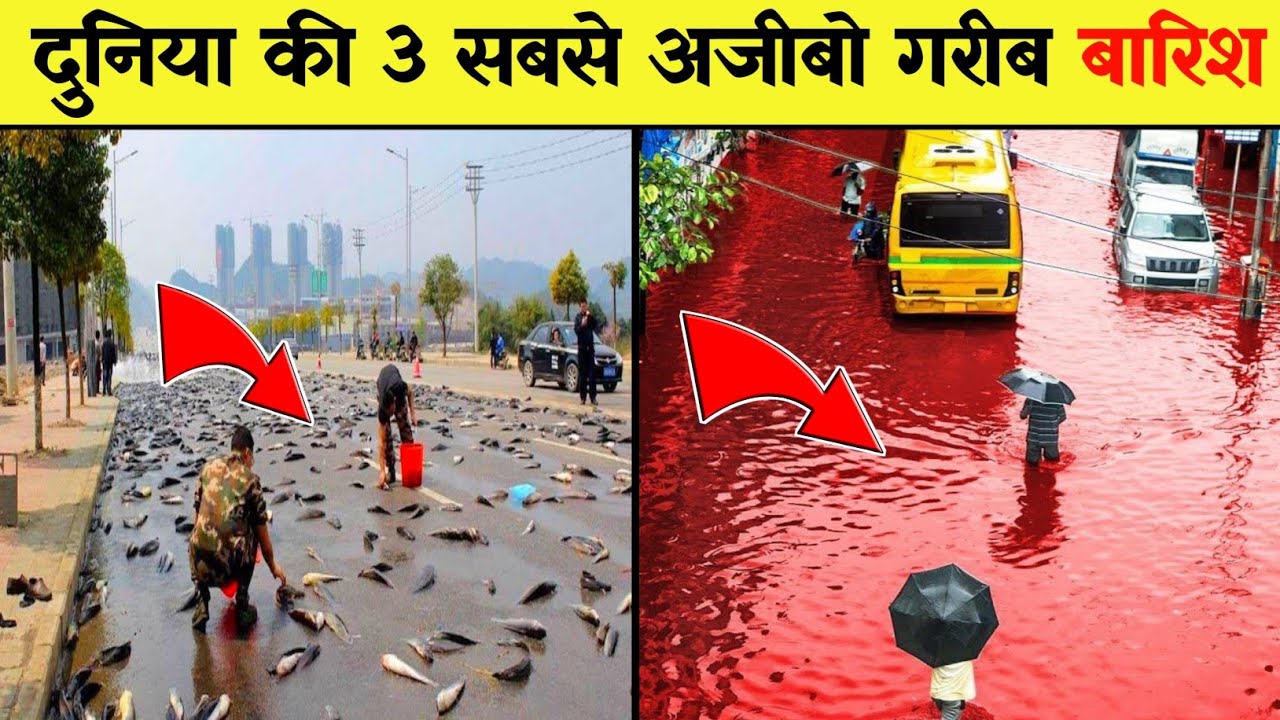 दुनिया की 3 सबसे अजीबो गरीब बारिशें 🌧️ | हैरान कर देने वाले प्राकृतिक घटनाएँ