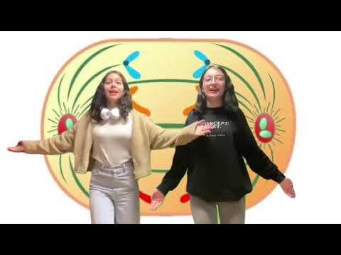 División Celular - 1ºBAC Leiras 🎥