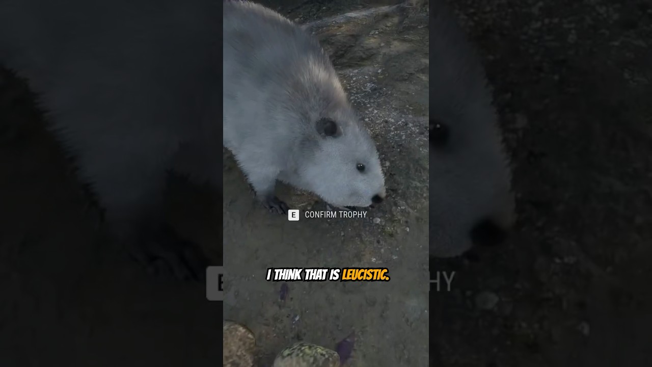 Rare Interrupts Your Diamond Hunt! π