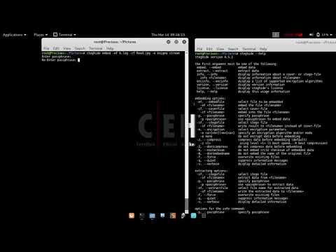 Steganalysis By Steghide