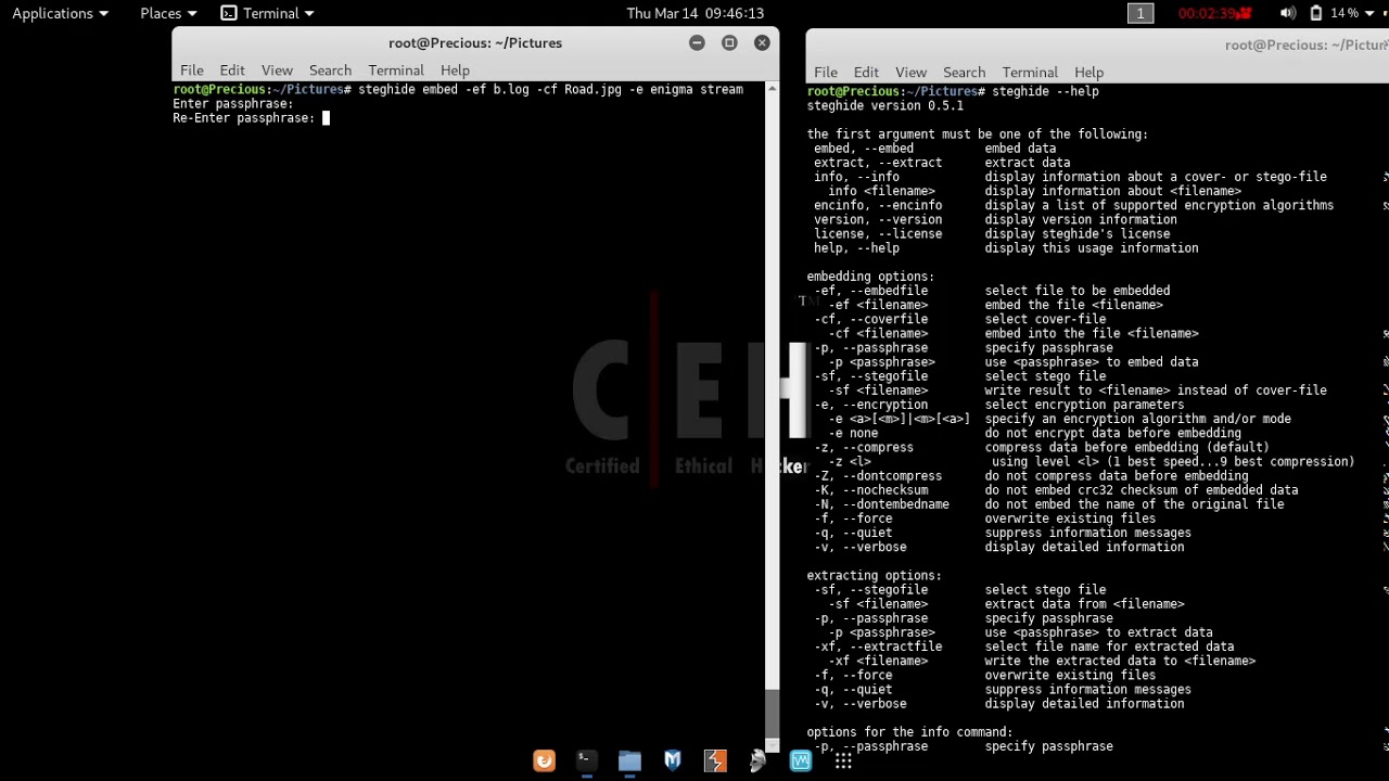 Mastering Steganalysis with Steghide: Essential Techniques for Detecting Hidden Data 🔍