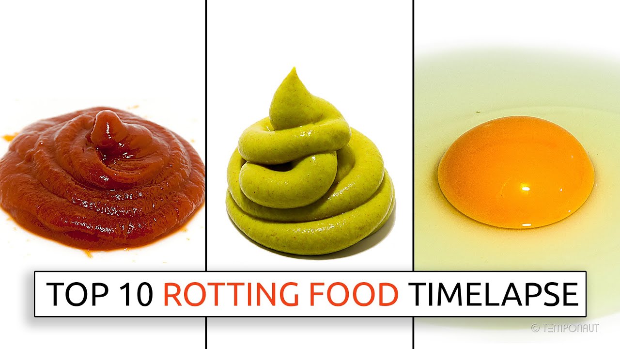 Top 10 Rotting Food Timelapses π½οΈ