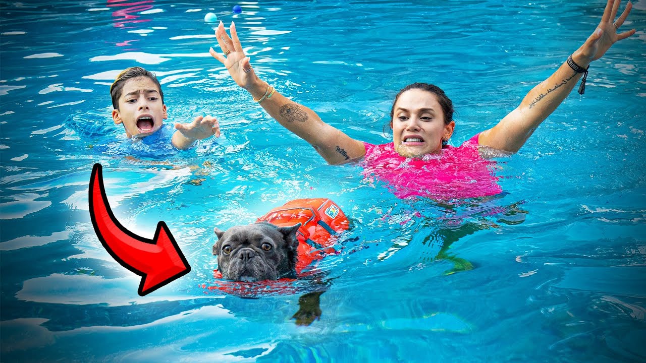 Puppy Nearly Drowns in Pool 😢 | The Royalty Family