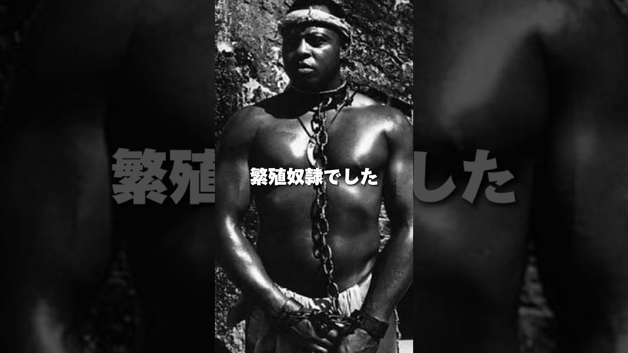 ブラジルの繁殖奴隷、パタセカの歴史