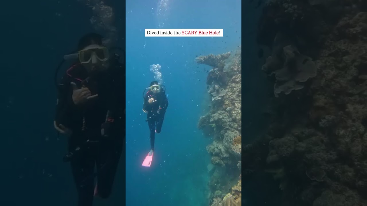 2024 Adventures That Raised My Indian Parents' Blood Pressure 🤯