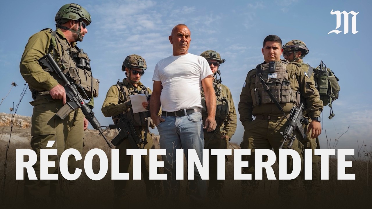 Cisjordanie : La lutte dramatique entre colons et agriculteurs palestiniens 🌿