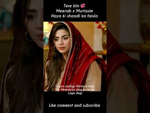 Tere Bin 🌹😘 Haya's Heartfelt Moment with Meerab & Murtasim | Short Video