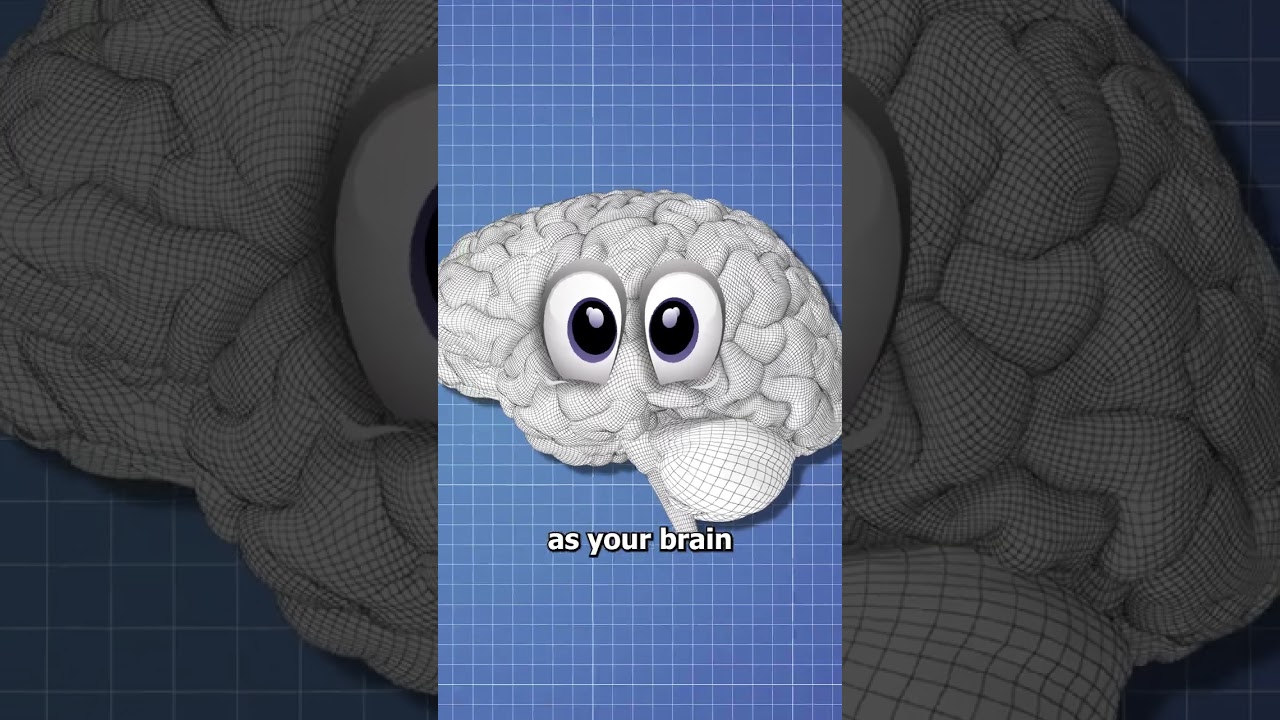 Why Do You Twitch Before Falling Asleep? 😴