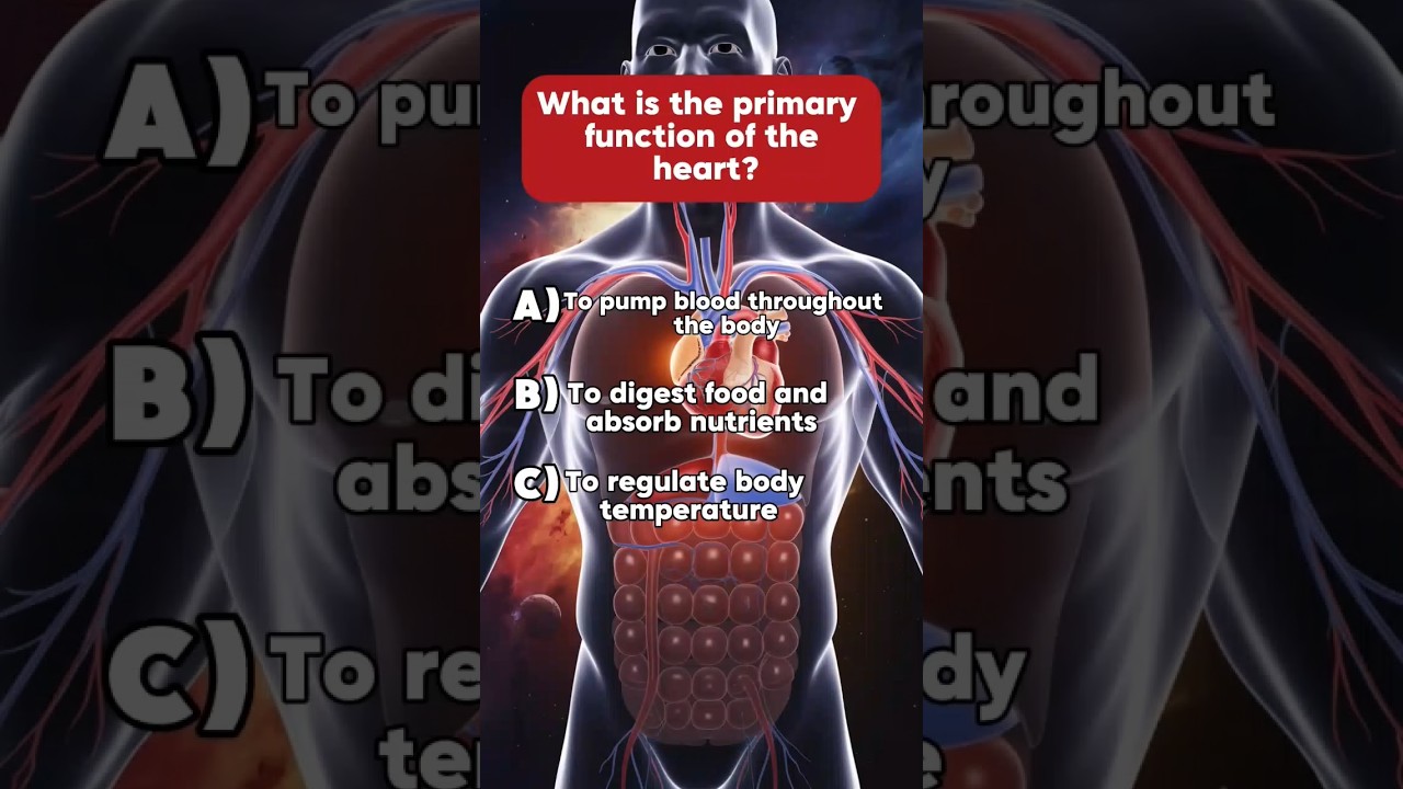 Test Your Heart Knowledge! 🫀 Fun Anatomy & Medical Trivia
