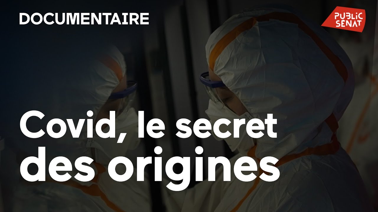 Covid-19 : Mystère sur ses origines 🦠