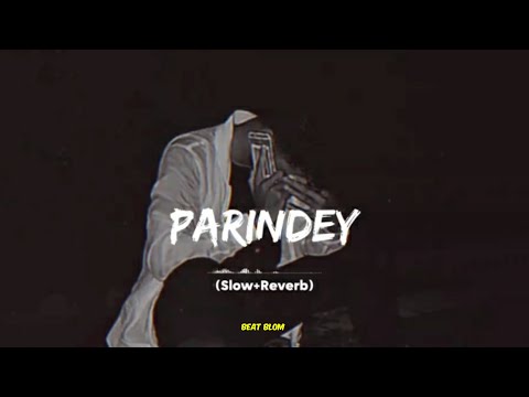 Parindey [Slowed and Reverb Song ] | B Praak | Jaani | Latest Punjabi Song | Me Kisse Ishq De Dekhe|