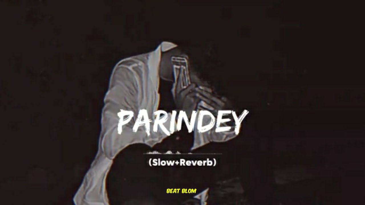 Parindey (Slowed & Reverb) | B Praak & Jaani | Latest Punjabi Love Song 🎶