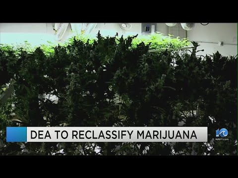 DEA to reclassify marijuana