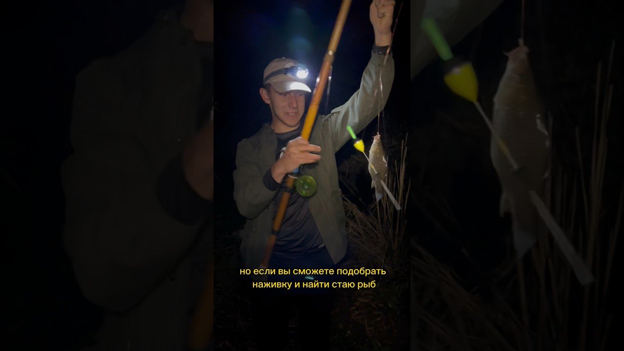 Секреты ловли карася осенью 🎣