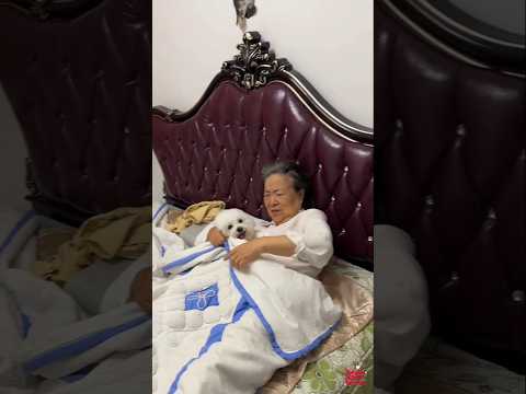 New Dog Vs Grandmother 😁😂 #funny #doonakdrama