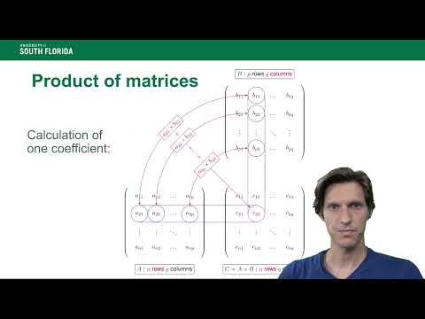 Linear algebra recap