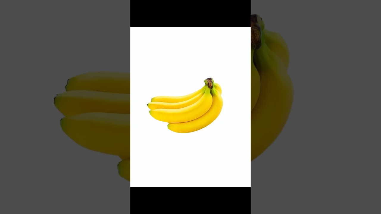 Fun Fact Memes & Gelnox Facts 🎉