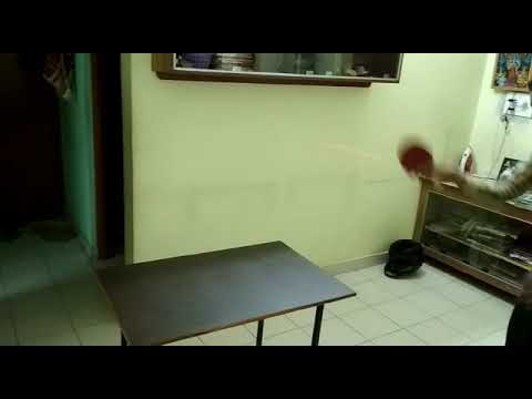 How to do table tennis practice at home