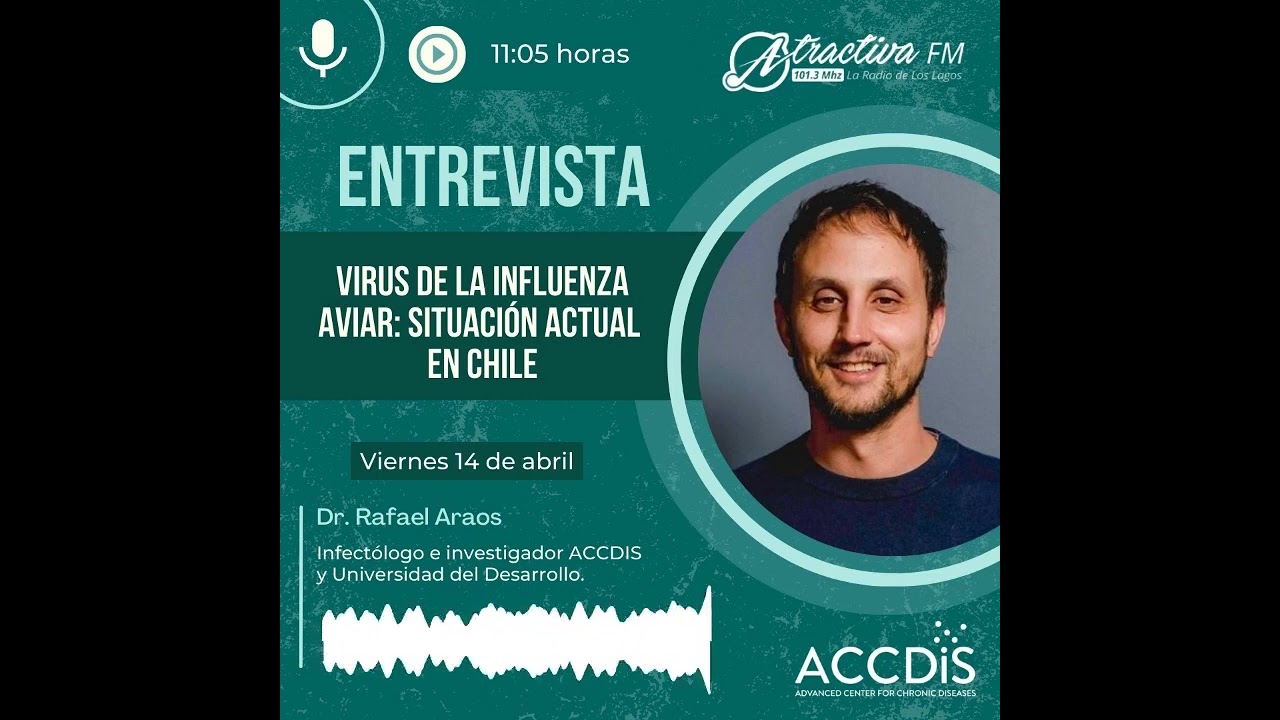 Virus de la influenza #aviar: situación actual en #chile