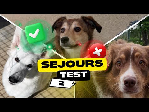 QUI NE S'ADAPTERA PAS ? (Et pourquoi...)