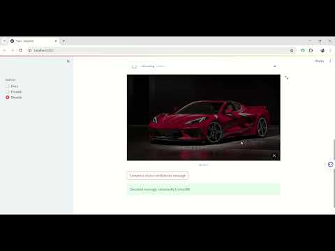 Encryption & Decryption Using Steganography & Visual Cryptography | Steganography Project