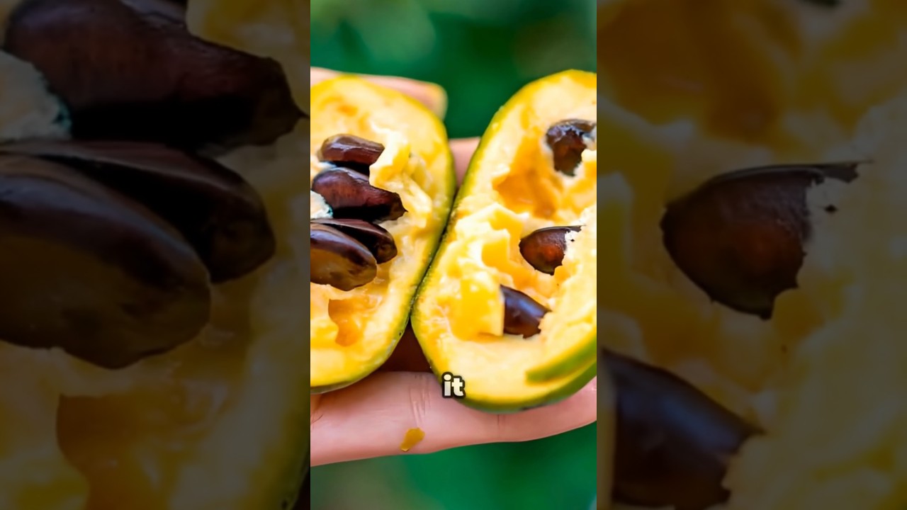 Top 5 Fruits with Bad Smells That Are Banned 🤢