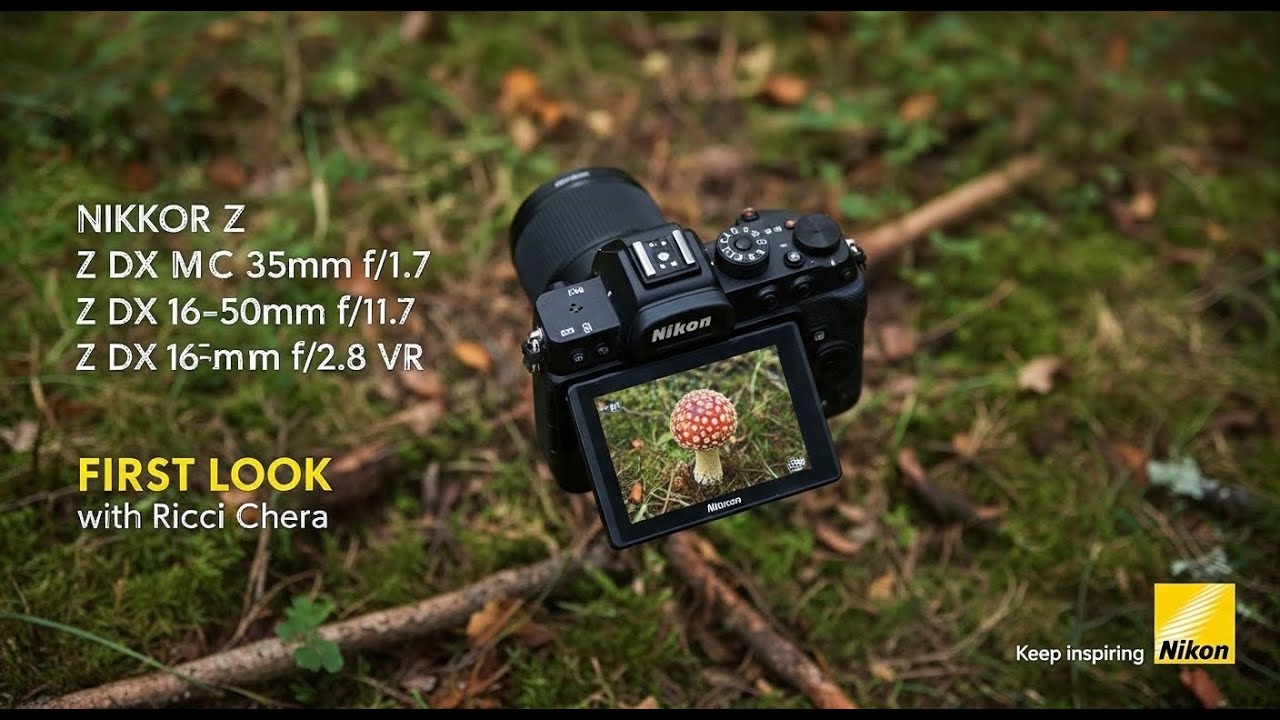 NIKKOR Z DX MC 35mm f/1.7 vs. NIKKOR Z DX 16-50mm f/2.8 VR: First Impressions ๐ธ