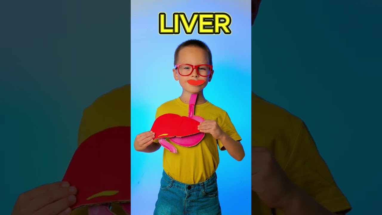 How Our Body Digests Food: Fun Facts for Kids 🍎