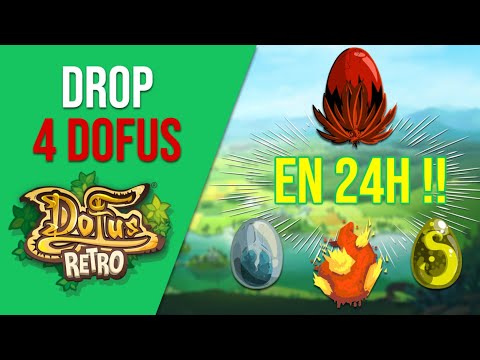 Drop 4 Dofus en 24h + Don Gratuit 🎮