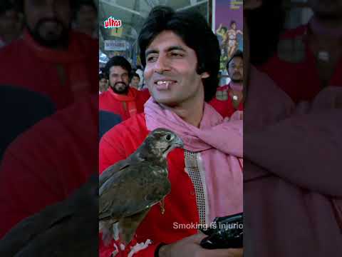 Coolie (1983) )_Best Shorts #amitabhbachchan #coolie #movieshorts #bollywoodshorts #shorts #amitabh