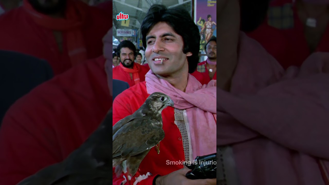 Coolie (1983) | Iconic Amitabh Bachchan Movie 🎬