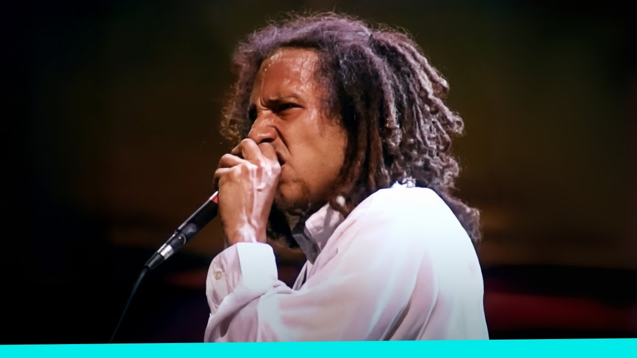 Rage Against the Machine - Wake Up Live at Woodstock '99