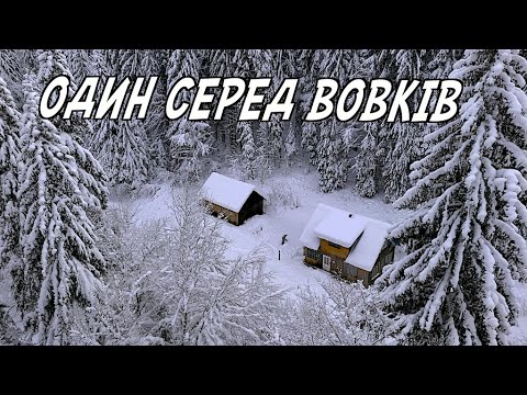 Зимові Карпати: Самотність під Говерлою ❄️