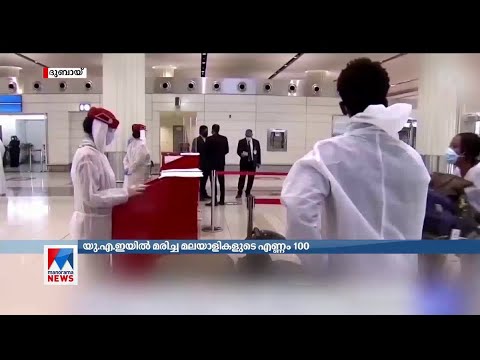 യുഎഇയിൽ കോവിഡ് മൂലം മലയാളികളുടെ എണ്ണം നൂറായി 📰