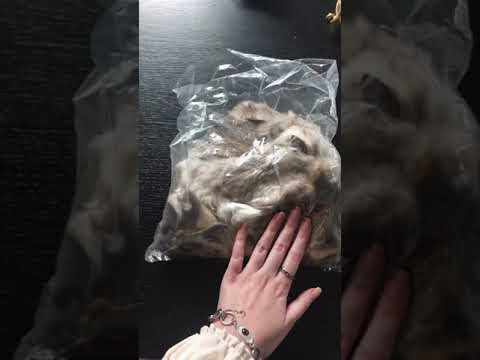 Oddities & Curiosities Haul