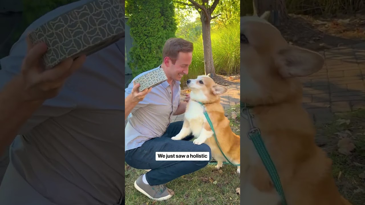 What Makes You a Dog Person? 🐶