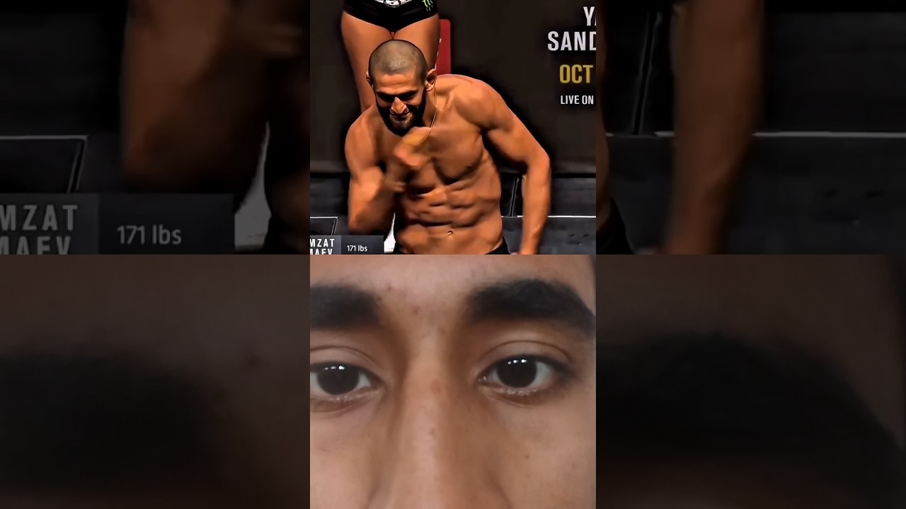 Khazmat Boxer 🐺 Ready for UFC Fight