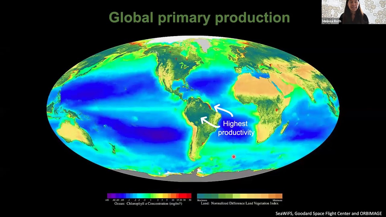 Discover How Algae Could Power Our Future π±