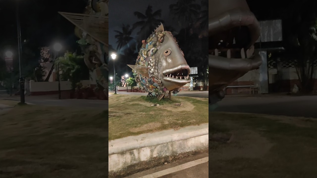 Get Ready for IFFI 2024 in Goa! 🎬 Experience the Ultimate Film Festival