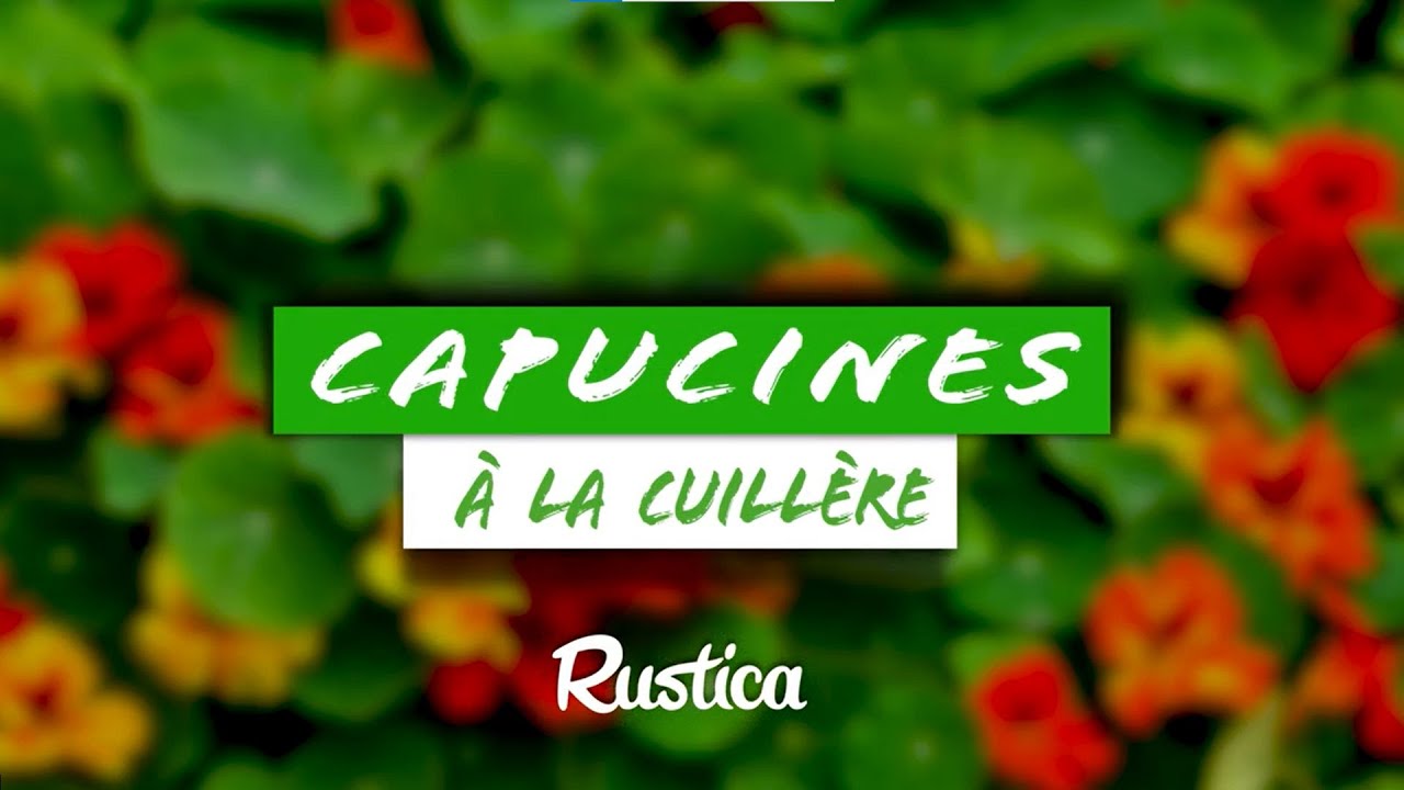 Semer des capucines à la cuillère 🌼