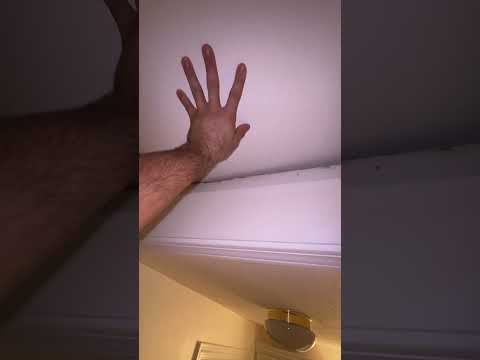 I have rats in my attic