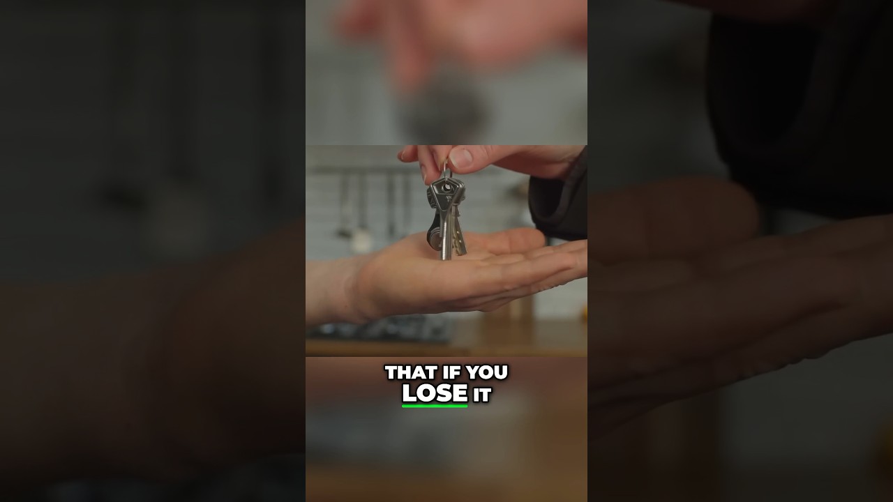 Regular Encryption vs Zero-Knowledge Proofs: What's the Difference? 🔐